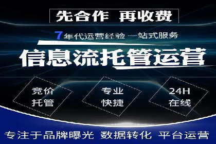 百度竞价排名策略解析：一家公司的广告投放策略全揭秘